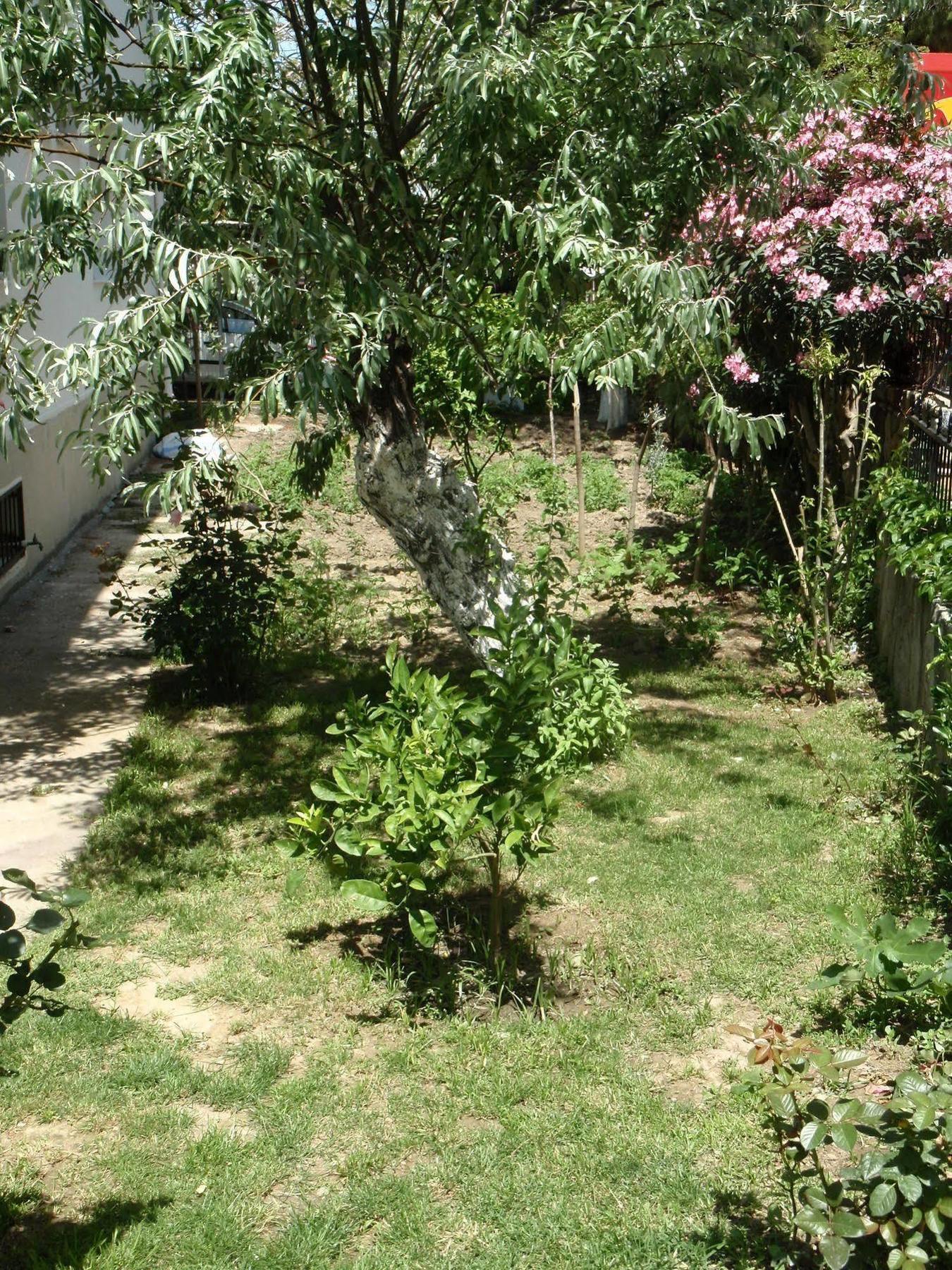 Mr. Happy'S - Liman Hotel Kuşadası Exterior photo